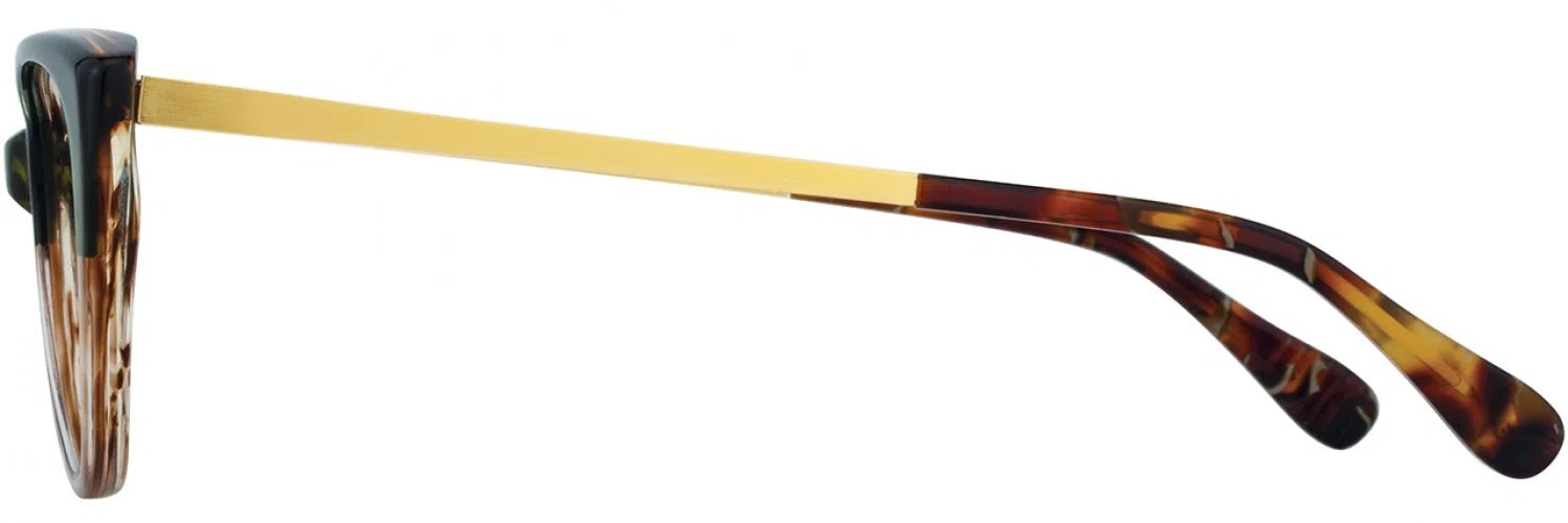 Alan J AJ502 Eyeglasses - view 8